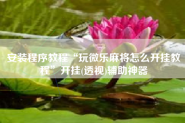 安装程序教程“玩微乐麻将怎么开挂教程”开挂(透视)辅助神器