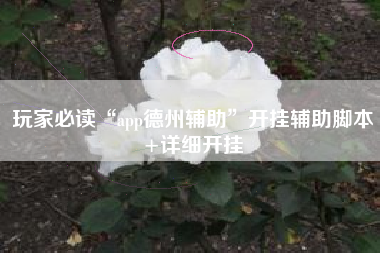 玩家必读“app德州辅助”开挂辅助脚本+详细开挂