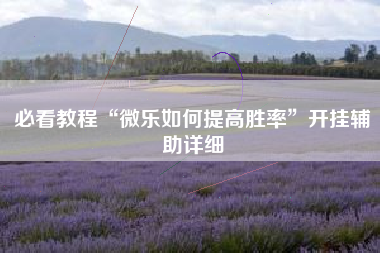必看教程“微乐如何提高胜率”开挂辅助详细