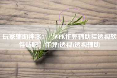玩家辅助神器：“WPK作弊辅助挂透视软件贴吧”作弊(透视)透视辅助