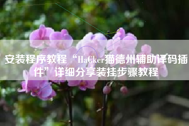 安装程序教程“HaCker猫德州辅助译码插件”详细分享装挂步骤教程