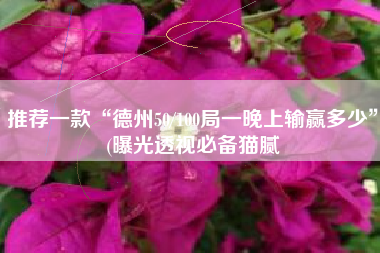 推荐一款“德州50/100局一晚上输赢多少”(曝光透视必备猫腻