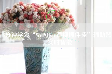 3分钟学会“WePOKer透视插件挂”辅助器 - 实时智能