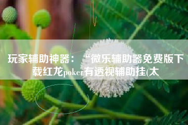 玩家辅助神器：“微乐辅助器免费版下载红龙poker有透视辅助挂(太