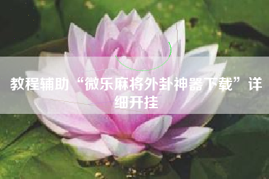 教程辅助“微乐麻将外卦神器下载”详细开挂