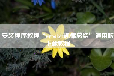 安装程序教程“wepoker规律总结”通用版下载教程