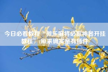 今日必看教程“微乐麻将必赢神器开挂教程”(原来确实是有插件