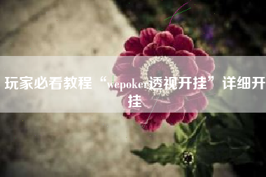 玩家必看教程“wepoker透视开挂”详细开挂