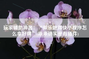 玩家辅助神器：“微乐跑得快小程序怎么拿好牌”(原来确实是有插件)