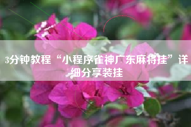 3分钟教程“小程序雀神广东麻将挂”详细分享装挂