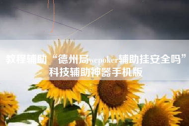 教程辅助“德州局wepoker辅助挂安全吗”科技辅助神器手机版