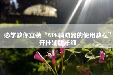 必学教你安装“WPK辅助器的使用教程”开挂辅助详细