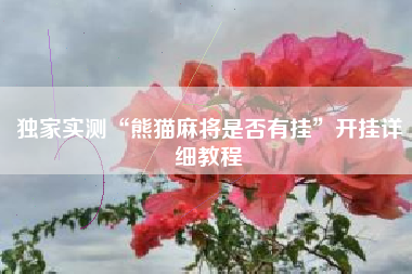 独家实测“熊猫麻将是否有挂”开挂详细教程