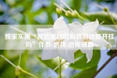 独家实测“微信里面的麻将游戏能开挂吗”作弊(透视)透视辅助