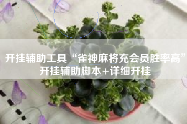 开挂辅助工具“雀神麻将充会员胜率高”开挂辅助脚本+详细开挂