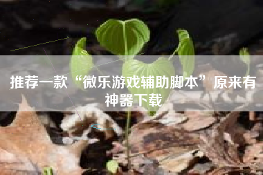 推荐一款“微乐游戏辅助脚本”原来有神器下载