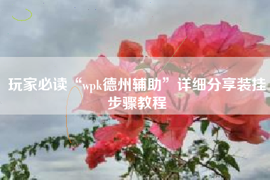 玩家必读“wpk德州辅助”详细分享装挂步骤教程