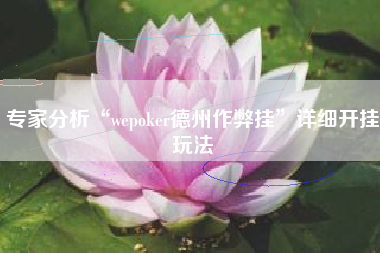 专家分析“wepoker德州作弊挂	”详细开挂玩法