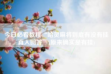 今日必看教程“哈灵麻将到底有没有挂真人回答”(原来确实是有挂)