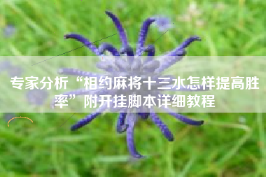 专家分析“相约麻将十三水怎样提高胜率”附开挂脚本详细教程