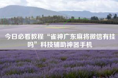 今日必看教程“雀神广东麻将微信有挂吗”科技辅助神器手机