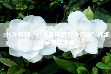 3分钟教程“八大碗麻将有没有挂”详细分享装挂步骤