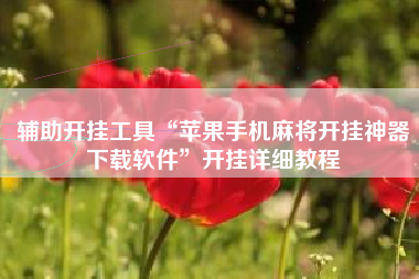 辅助开挂工具“苹果手机麻将开挂神器下载软件”开挂详细教程