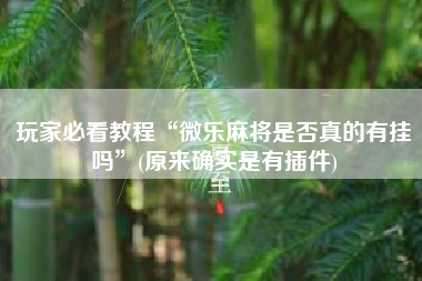 玩家必看教程“微乐麻将是否真的有挂吗”(原来确实是有插件)