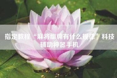 指定教程“麻将组牌有什么规律”科技辅助神器手机