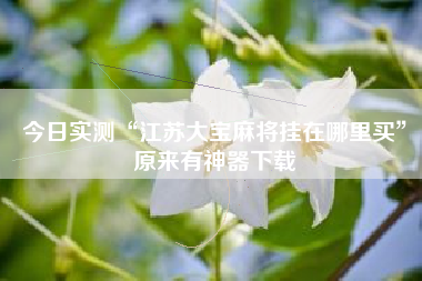 今日实测“江苏大宝麻将挂在哪里买	”原来有神器下载