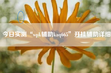 今日实测“wpk辅助kaq665	”开挂辅助详细