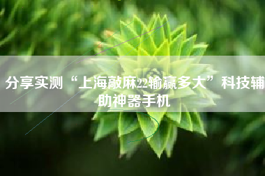 分享实测“上海敲麻22输赢多大”科技辅助神器手机