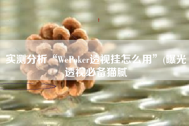 实测分析“WePoker透视挂怎么用”(曝光透视必备猫腻