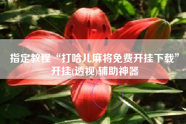 指定教程“打哈儿麻将免费开挂下载”开挂(透视)辅助神器