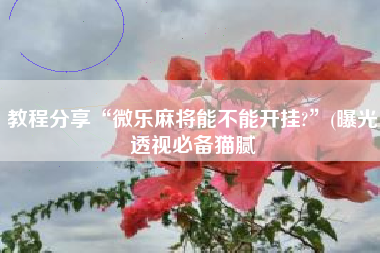 教程分享“微乐麻将能不能开挂?”(曝光透视必备猫腻