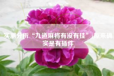 实测分析“九道麻将有没有挂”(原来确实是有插件