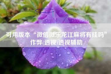 可用版本“微信微乐龙江麻将有挂吗	”作弊(透视)透视辅助