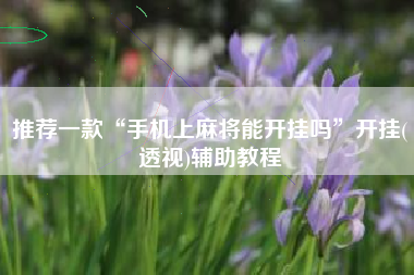 推荐一款“手机上麻将能开挂吗”开挂(透视)辅助教程
