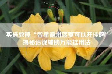 实操教程“智星德州菠萝可以开挂吗”揭秘透视辅助万能挂用法