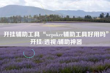 开挂辅助工具“wepoker辅助工具好用吗”开挂(透视)辅助神器