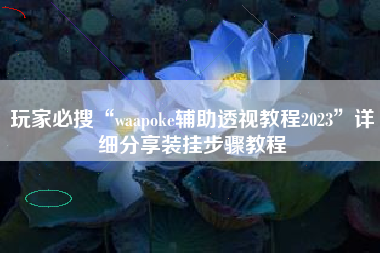 玩家必搜“waapoke辅助透视教程2023”详细分享装挂步骤教程