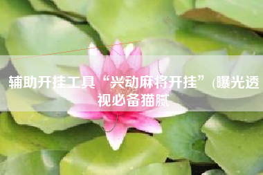 辅助开挂工具“兴动麻将开挂”(曝光透视必备猫腻