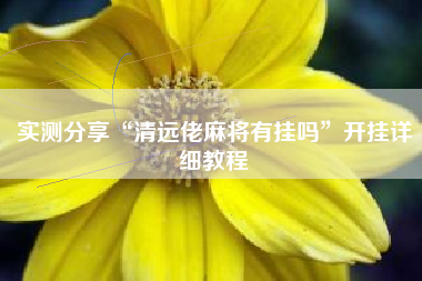 实测分享“清远佬麻将有挂吗”开挂详细教程