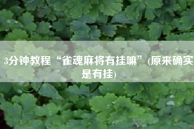 3分钟教程“雀魂麻将有挂嘛”(原来确实是有挂)