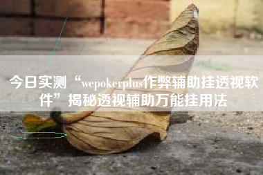 今日实测“wepokerplus作弊辅助挂透视软件”揭秘透视辅助万能挂用法