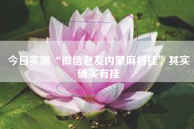 今日实测“微信老友内蒙麻将挂”其实确实有挂