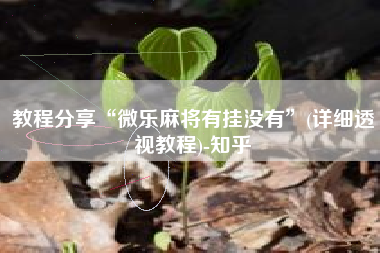 教程分享“微乐麻将有挂没有”(详细透视教程)-知乎