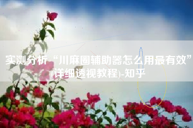 实测分析“川麻圈辅助器怎么用最有效”(详细透视教程)-知乎