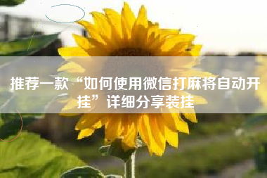 推荐一款“如何使用微信打麻将自动开挂”详细分享装挂