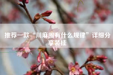 推荐一款“川麻圈有什么规律”详细分享装挂